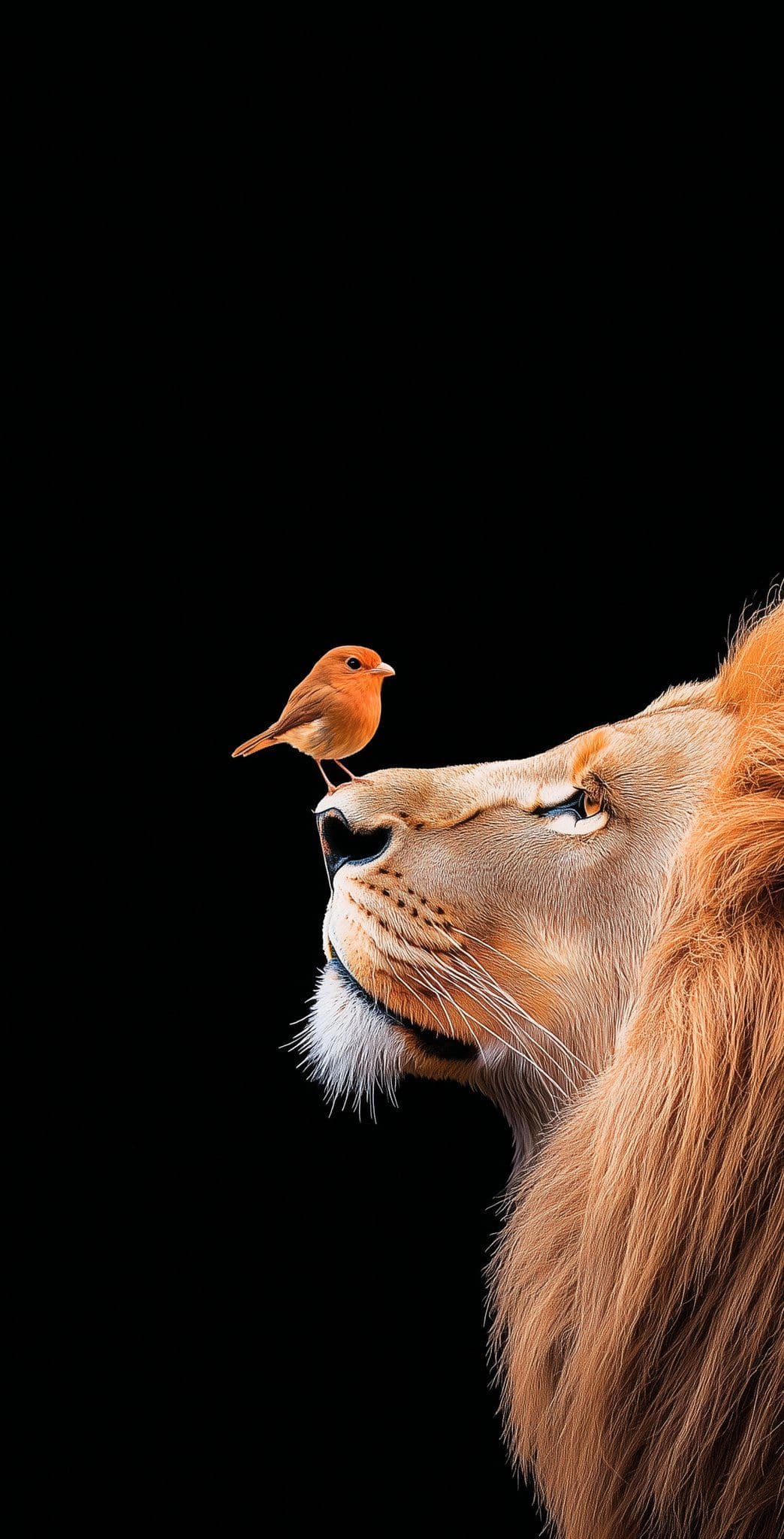 Curious Cat and Robin Bird Friendship Portrait