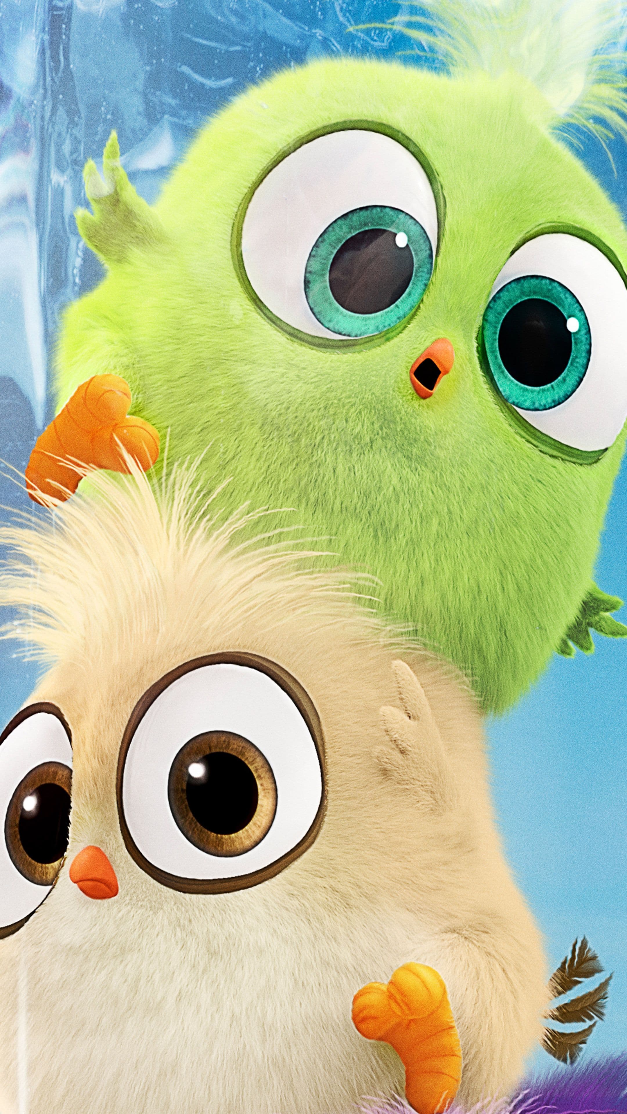 Cute Animated Owls Close-up Portrait