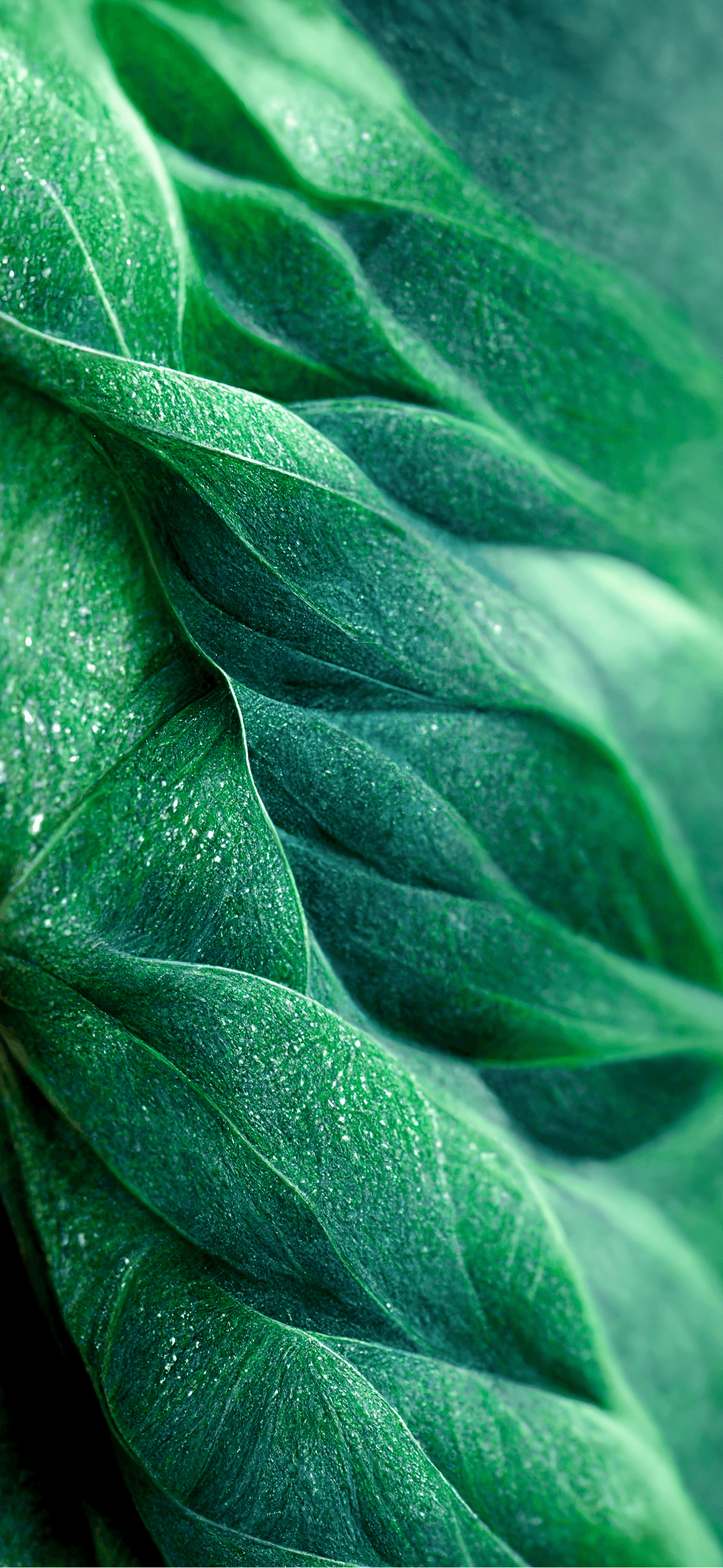 Close Up Green Leaf Texture