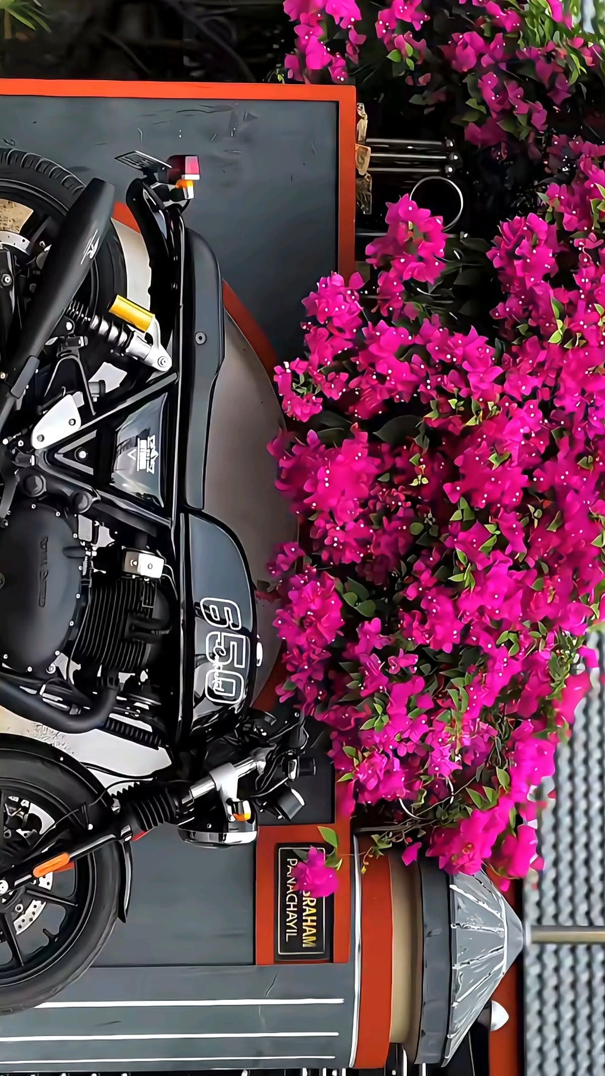 Royal Enfield 650 and Pink Flowers
