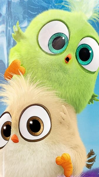 Cute Animated Owls Close-up Portrait