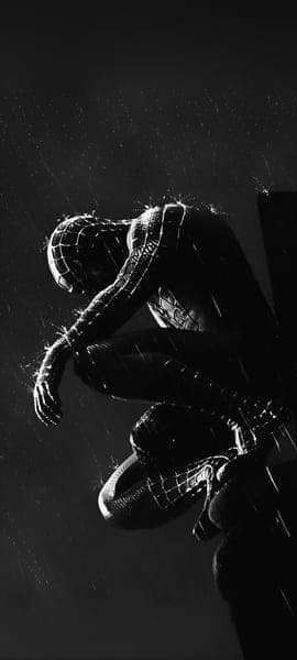 Spider Man Sitting in Rain