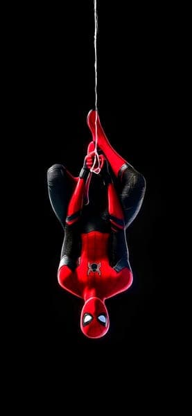 Spider-Man Hanging Upside Down