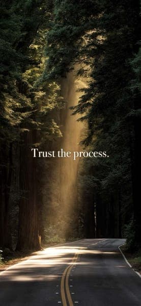 Trust The Process Forest Road