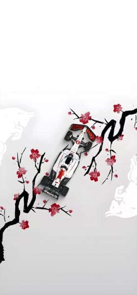 F1 wallpaper